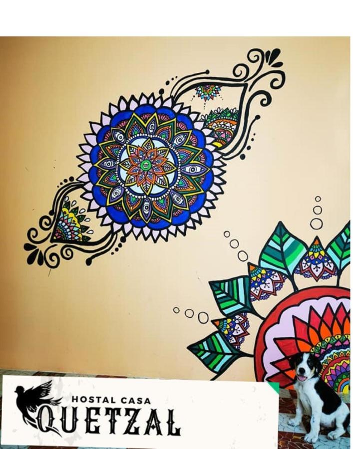 كامبيش Hostel Casa Quetzal المظهر الخارجي الصورة