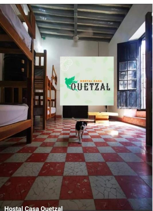 كامبيش Hostel Casa Quetzal المظهر الخارجي الصورة